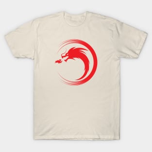 Dungeons and dragons- Dragon icons T-Shirt